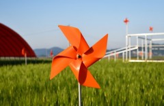 ��ǰ ������