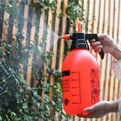 ��ǰ ������