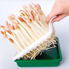 ��ǰ ������