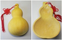 ǰ̹