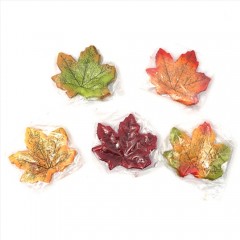 ��ǰ ������