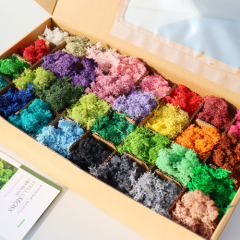 ��ǰ ������