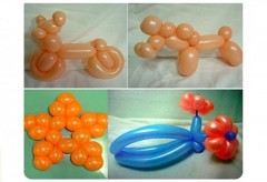 ��ǰ ������