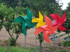 ��ǰ ������